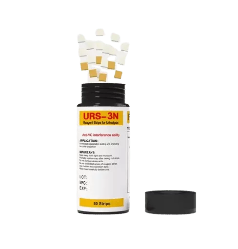 Urinary Tract Infection (UTI) - Image 4