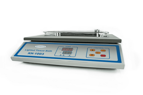 Lighted Tissue Floating Bath for Enhanced Specimen Visibility and Precision - Image 4